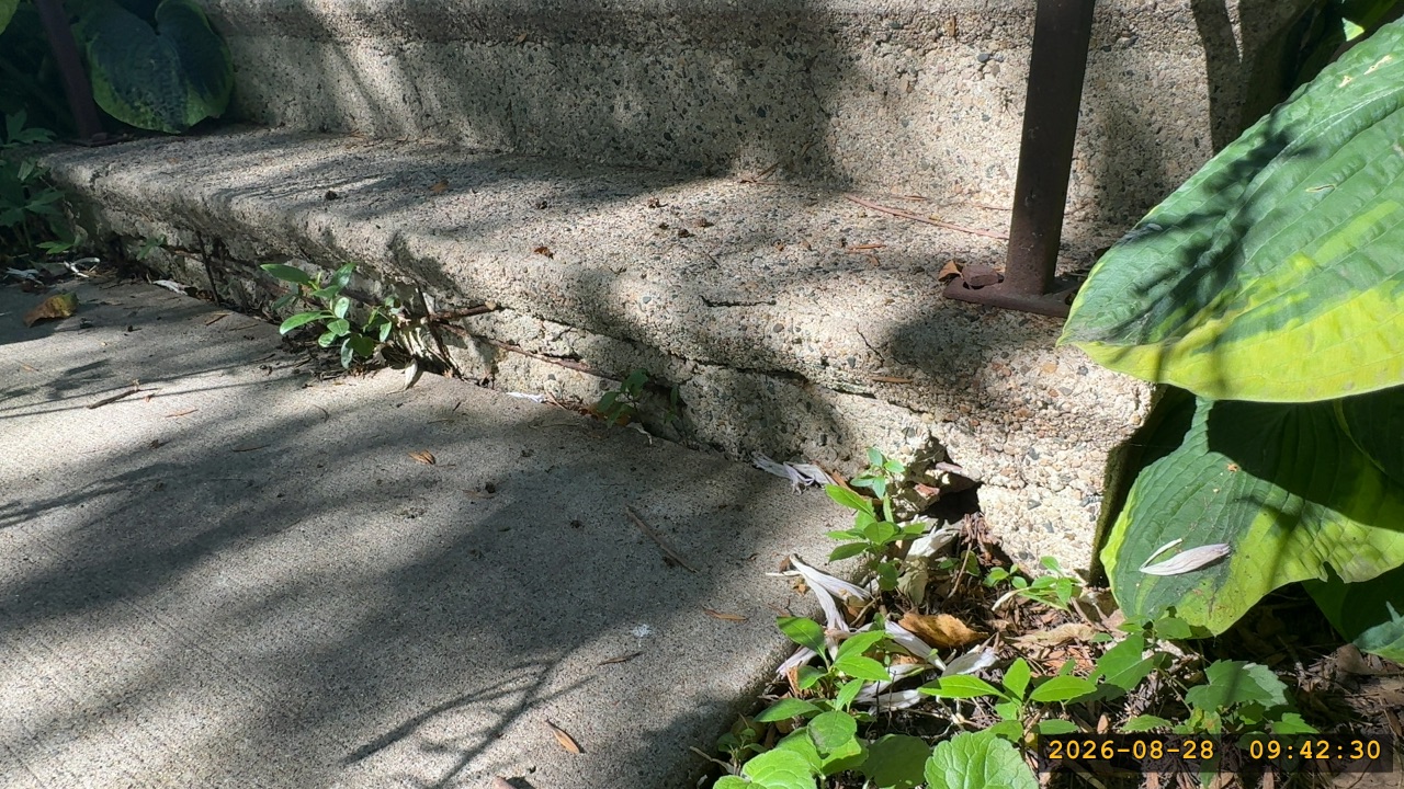 Summary photo 1