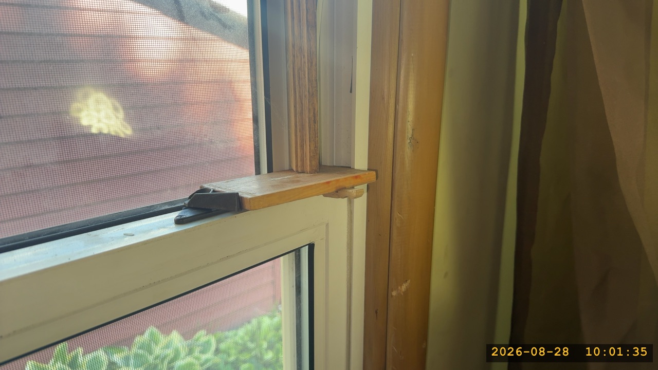 Summary photo 1