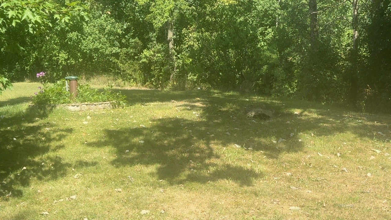 Summary photo 1