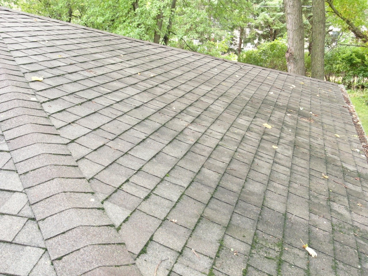 Inspection photo