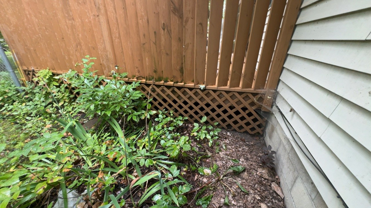 Inspection photo