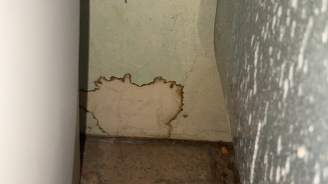 Inspection photo 2