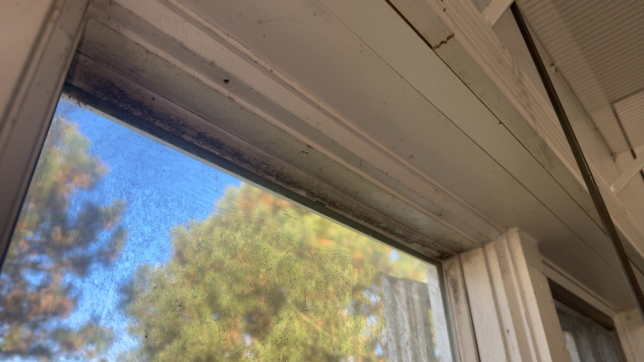 Inspection photo 2
