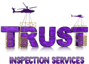 Trust Inspecion Services LLC